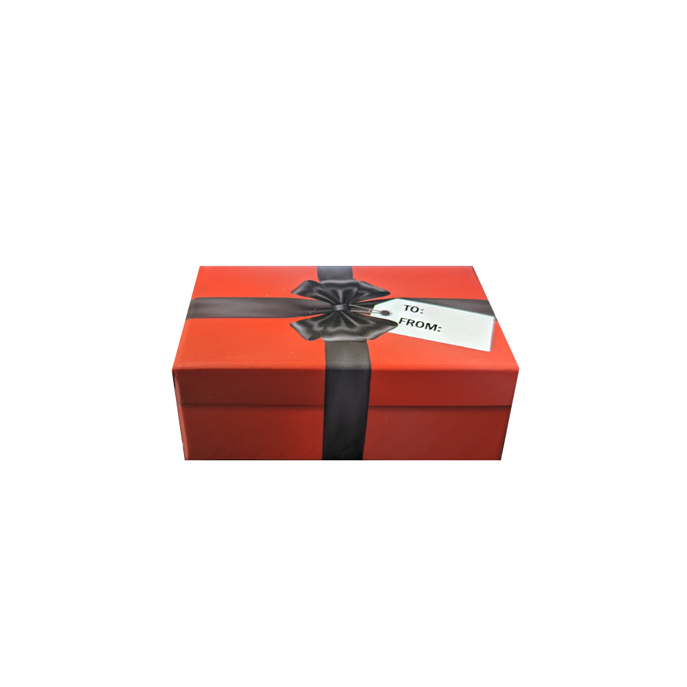 Fashion Micron Keyring Flashlight Gift Box (SPECIAL DEAL)