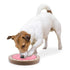 Brainiac Spin-O-Rama Treat Dispensing Pet Toy